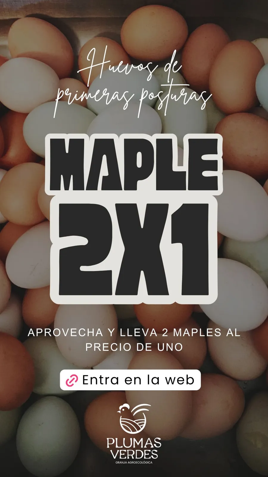 2x1 - Maples de huevo de primeras posturas